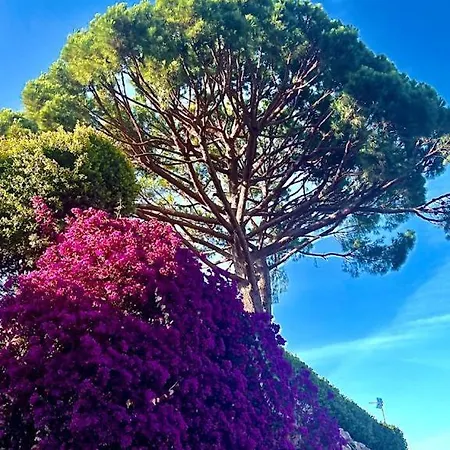 Βίλα Lets Holidays Lovely Garden House In Mar Menuda